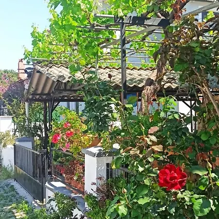 דליאן Villa Asel מראה חיצוני תמונה